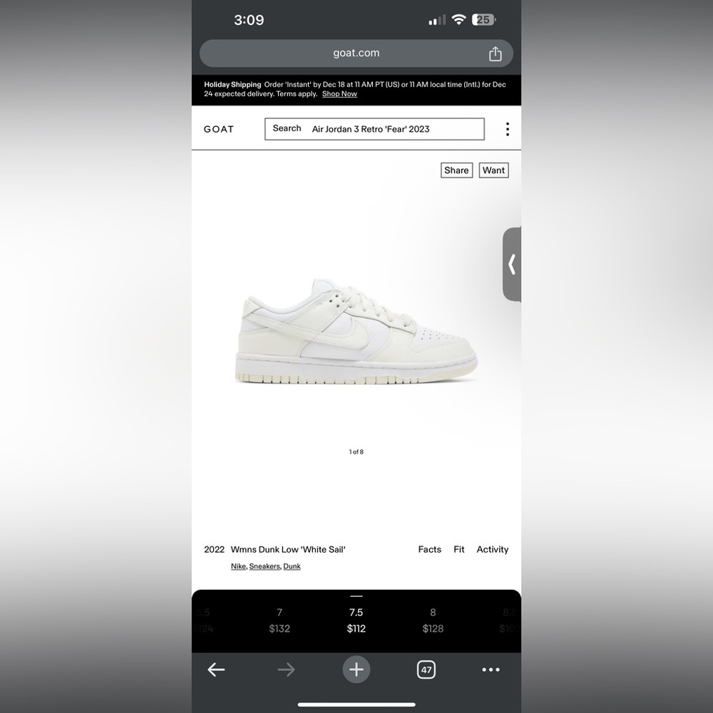 Nwt Nike Dunks low